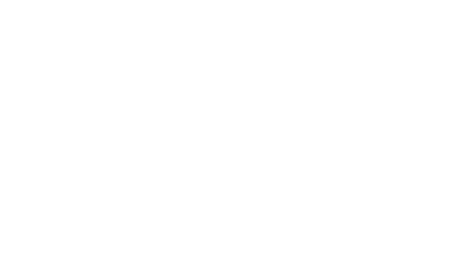 Zee-zicht Media Logo
